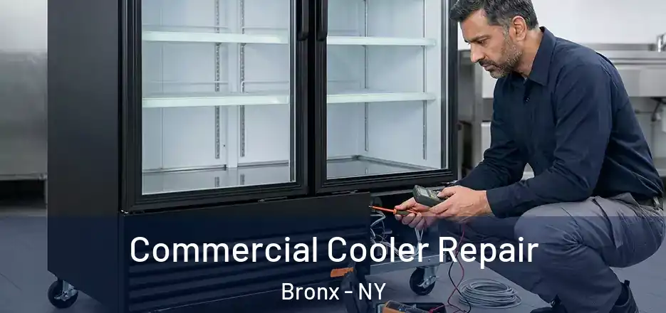  Commercial Cooler Repair Bronx - NY