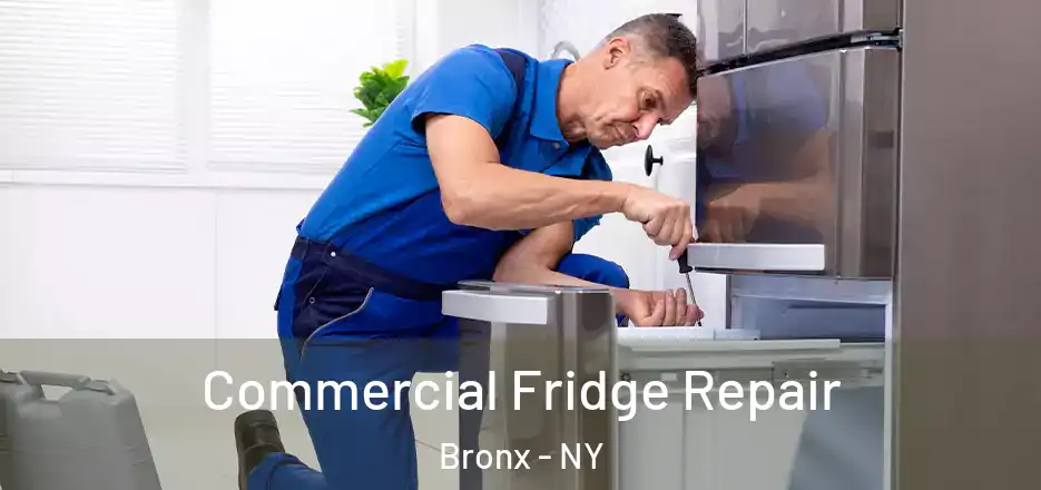  Commercial Fridge Repair Bronx - NY