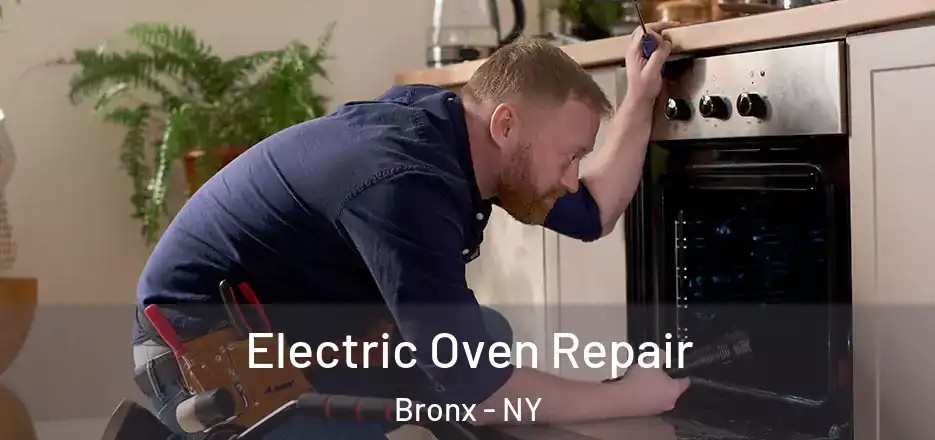  Electric Oven Repair Bronx - NY