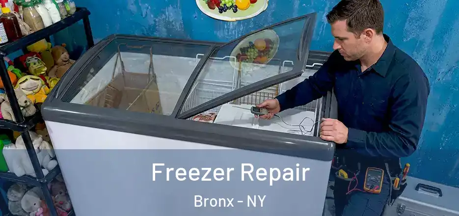  Freezer Repair Bronx - NY