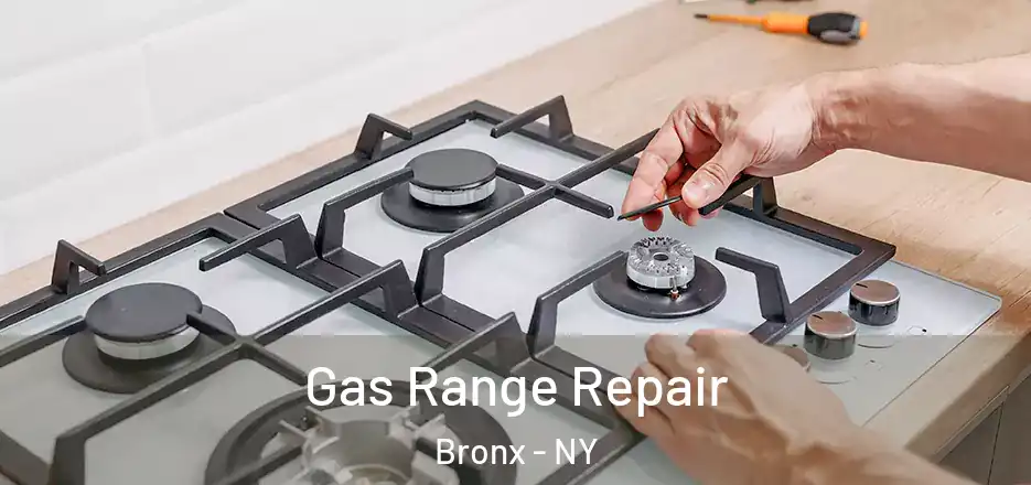 Gas Range Repair Bronx - NY