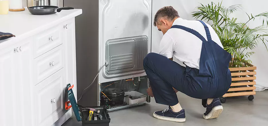 Refrigerator Cooling Repair in Bronx