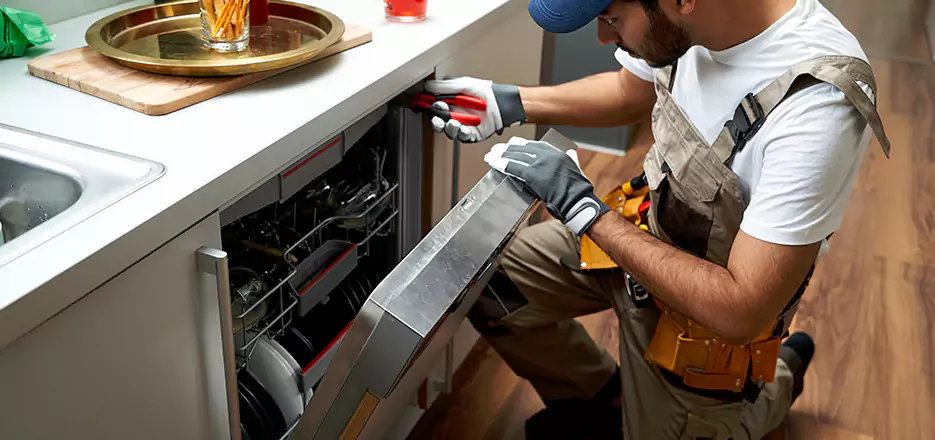Same Day Dishwasher Not Draining Repair in Bronx