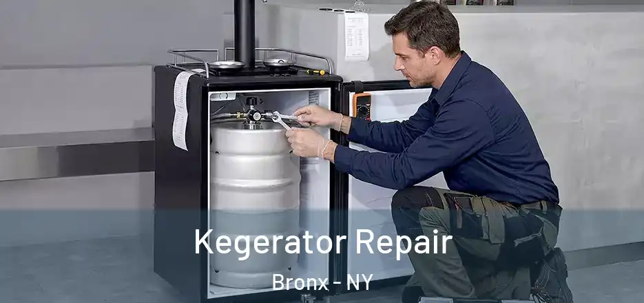  Kegerator Repair Bronx - NY