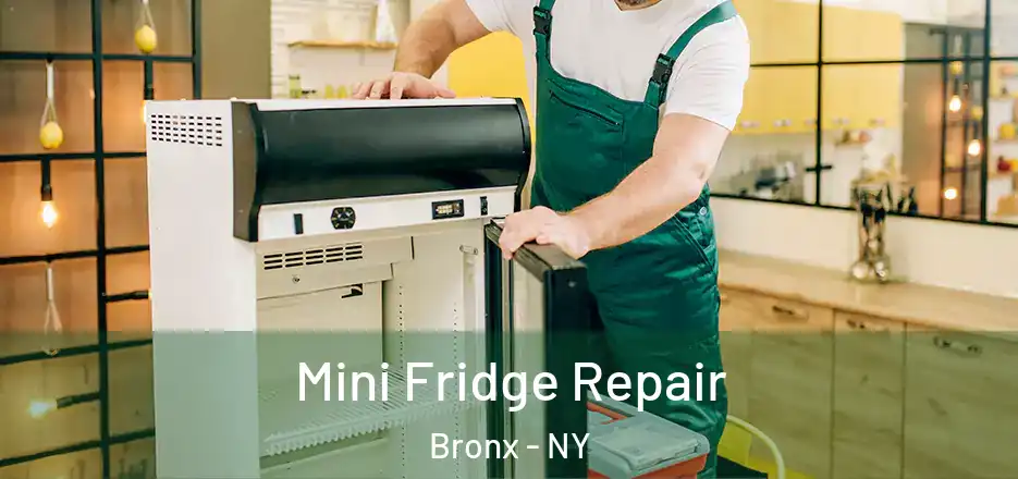  Mini Fridge Repair Bronx - NY