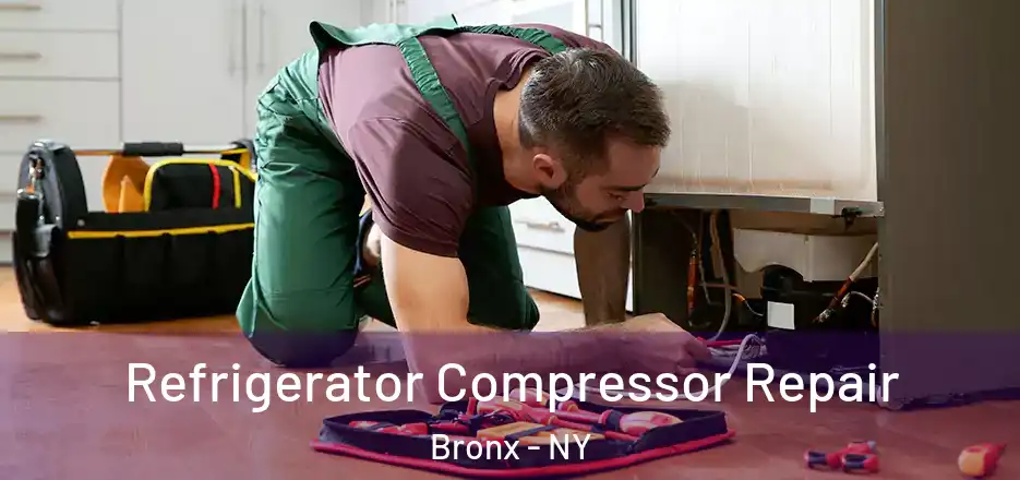  Refrigerator Compressor Repair Bronx - NY