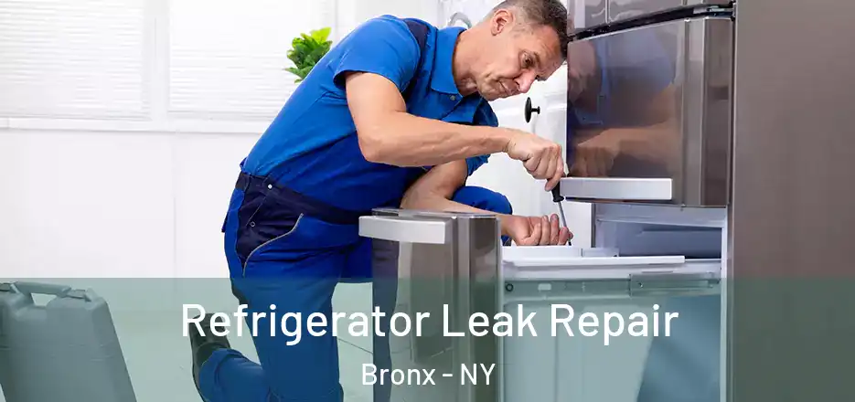  Refrigerator Leak Repair Bronx - NY