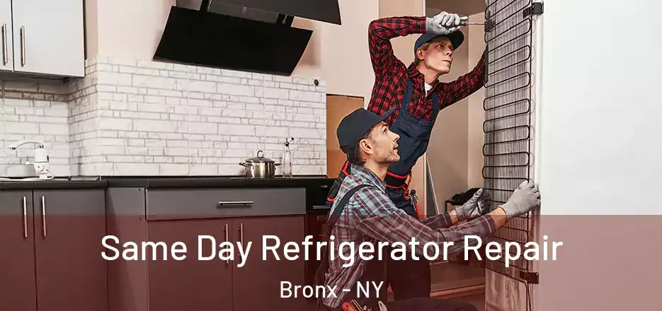  Same Day Refrigerator Repair Bronx - NY